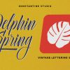 Delphin Spring - Vintage Script Fonts
