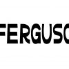 Ferguso - Aesthetic Sans Serif Fonts
