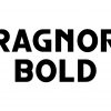 Ragnor Bold - Modern Futuristic Display Sans Serif