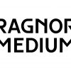 Ragnor Medium – Modern Futuristic Display Sans Serif